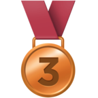 3rd Place Medal