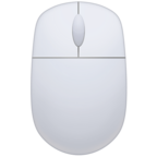 Computer Mouse