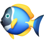 Tropical Fish