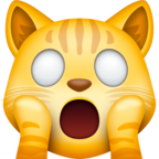 Weary Cat