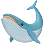 Whale