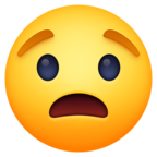 Worried Face