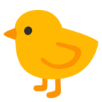 Baby Chick
