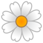 Blossom