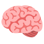 Brain