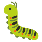 Bug