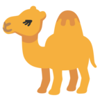 Camel