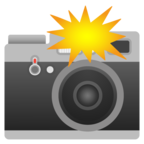 Camera with Flash