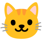 Cat Face