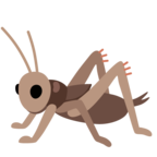 Cricket