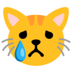 Crying Cat