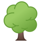 Deciduous Tree