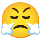 Face with Steam From Nose