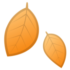 Fallen Leaf