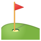 Flag in Hole