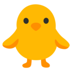 Front-Facing Baby Chick