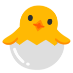 Hatching Chick