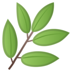 Herb