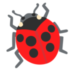 Lady Beetle
