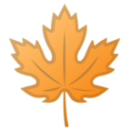 Maple Leaf