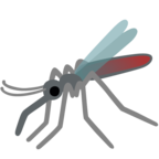 Mosquito