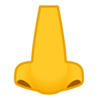 Nose