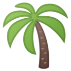 Palm Tree