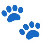 Paw Prints
