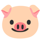 Pig Face