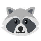 Raccoon