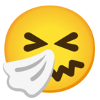Sneezing Face