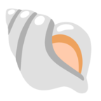 Spiral Shell