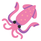 Squid