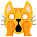 Weary Cat