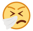 Sneezing Face