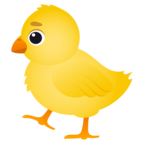 Baby Chick