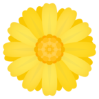 Blossom