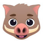 Boar