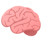 Brain