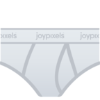 Briefs