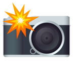 Camera with Flash