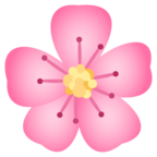 Cherry Blossom