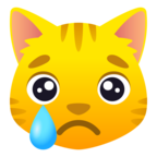 Crying Cat