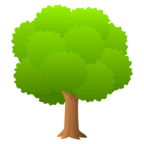 Deciduous Tree