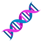 DNA