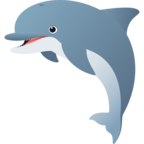Dolphin