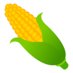 Ear of Corn