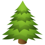 Evergreen Tree