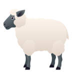 Ewe
