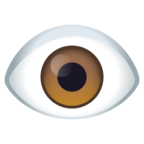 Eye